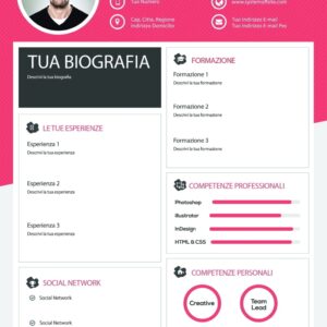 Dynamic Themes CV 1