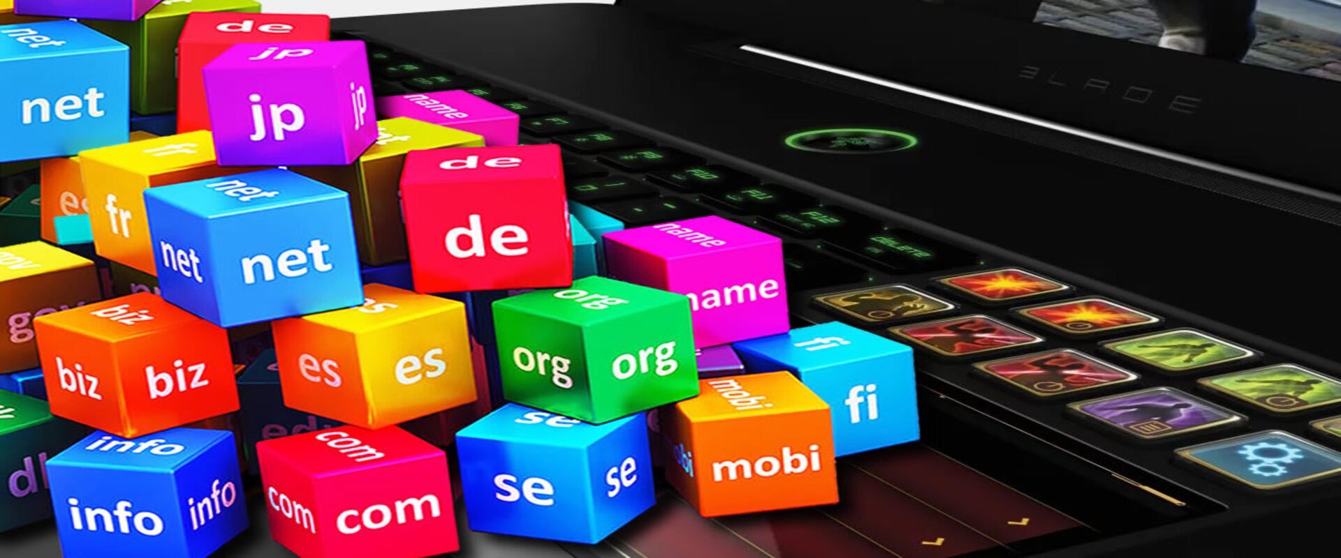 domini-web-come-trovare