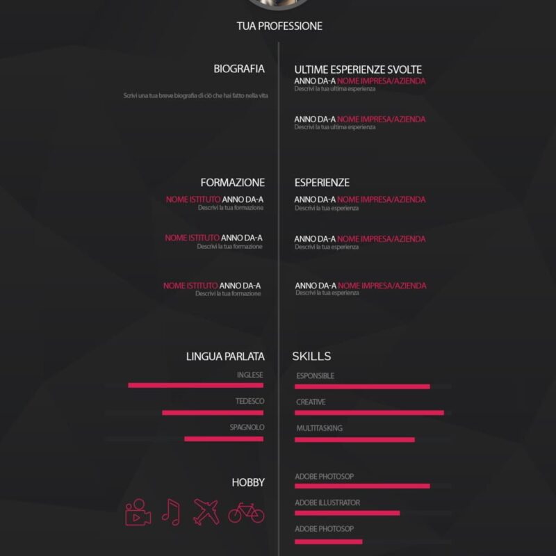 Dynamic Creative CV 11