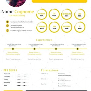Dynamic Creative CV 3 Giallo