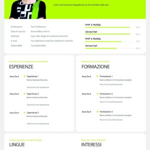 Dynamic Designer CV 1