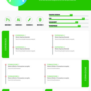 Dynamic Designer CV 3 Verde