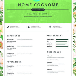 Dynamic Designer CV 5 Verde