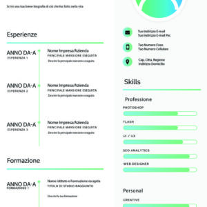 Dynamic Elegant CV 1