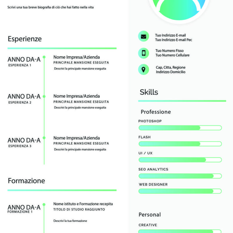 Dynamic Elegant CV 1
