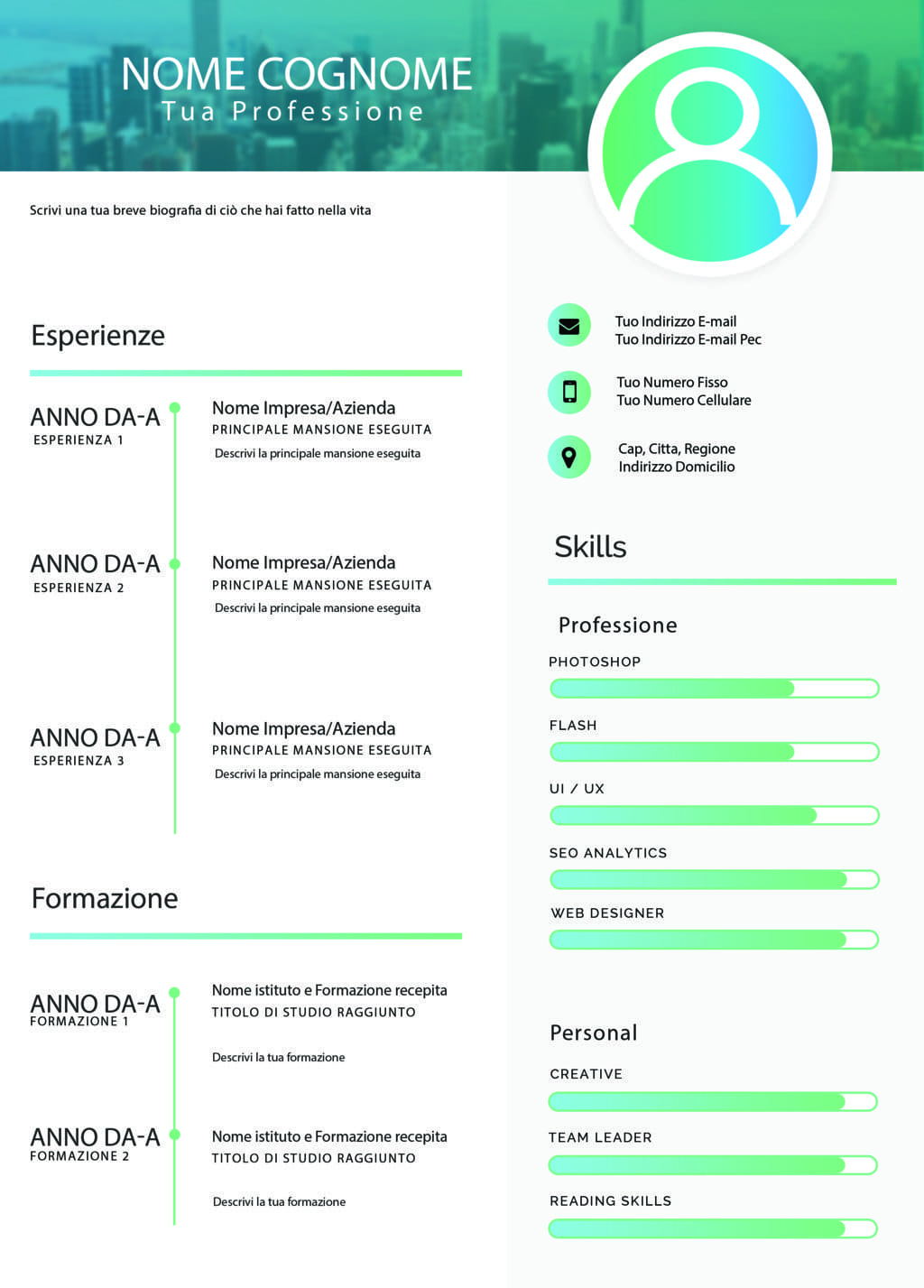 Dynamic elegant cv 1