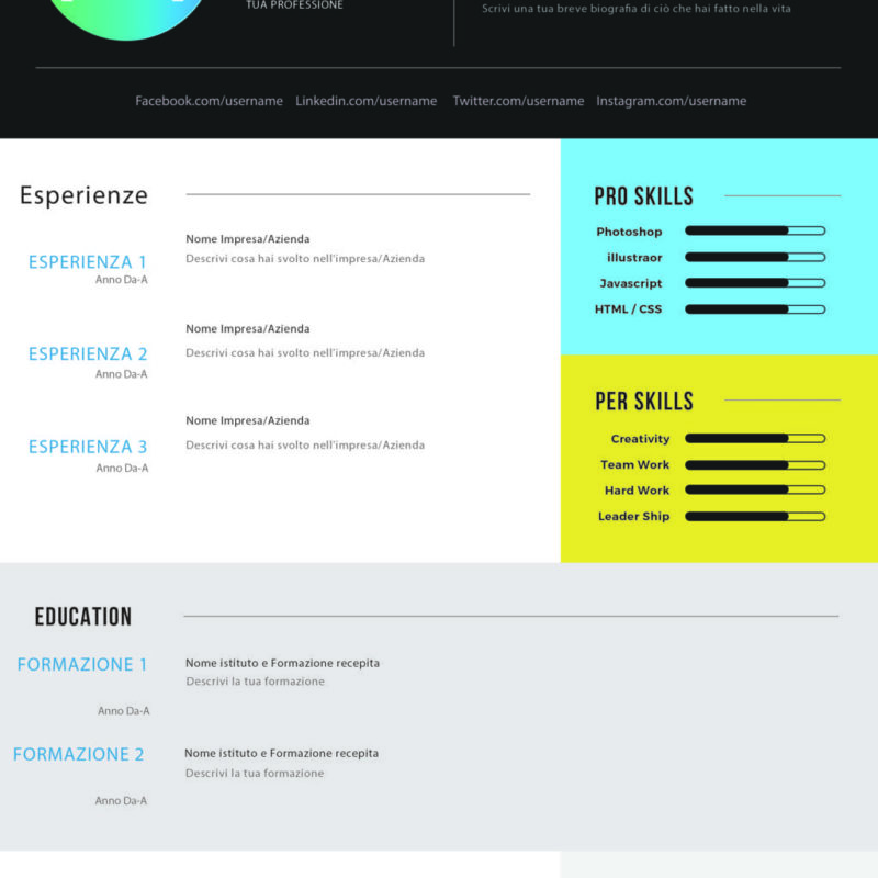 Dynamic Elegant CV 2