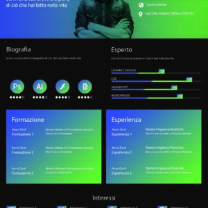 Dynamic Modern CV 2-2