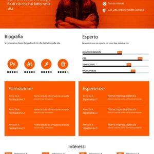 Dynamic Modern CV 2 Arancione