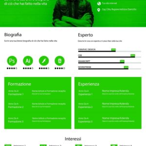 Dynamic Modern CV 2 Verde