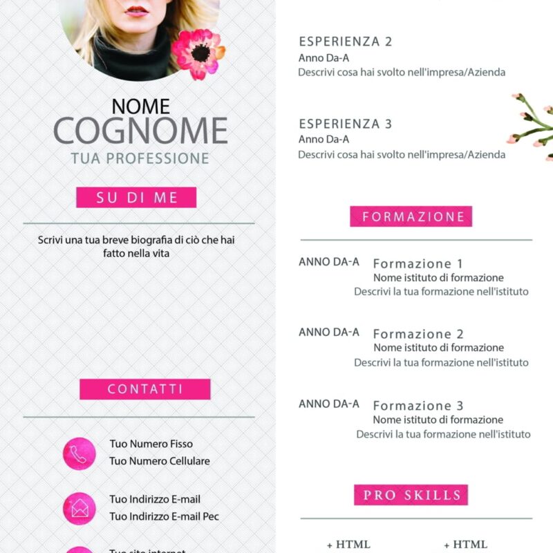 Dynamic Painter CV 1