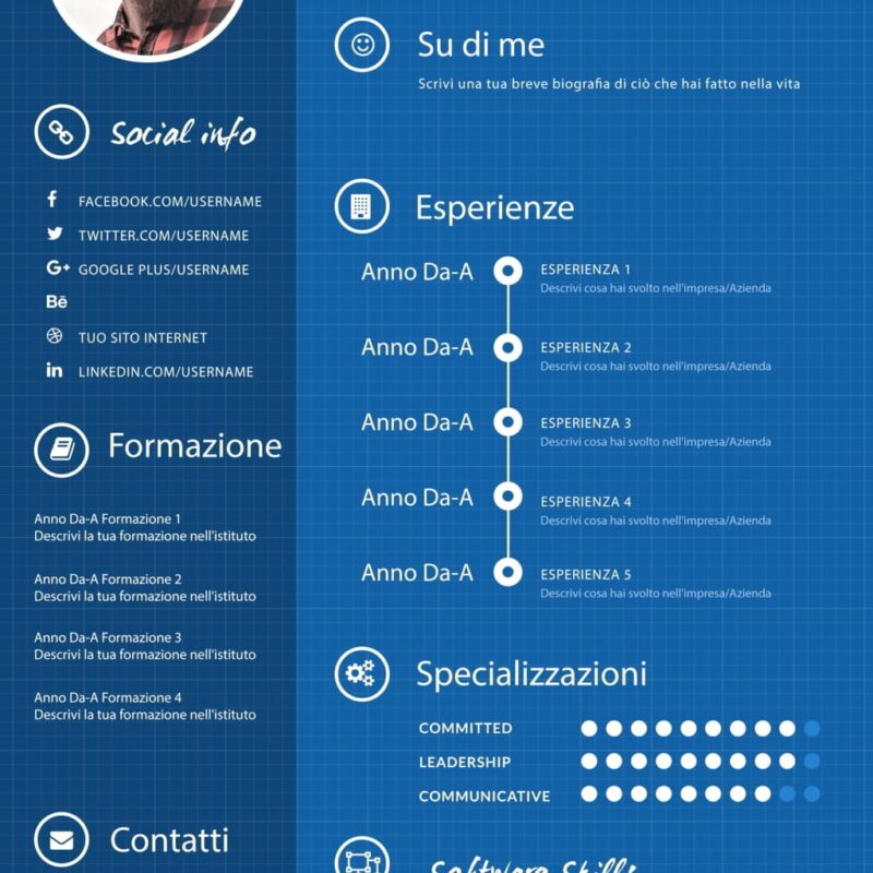 Dynamic Professional CV 1