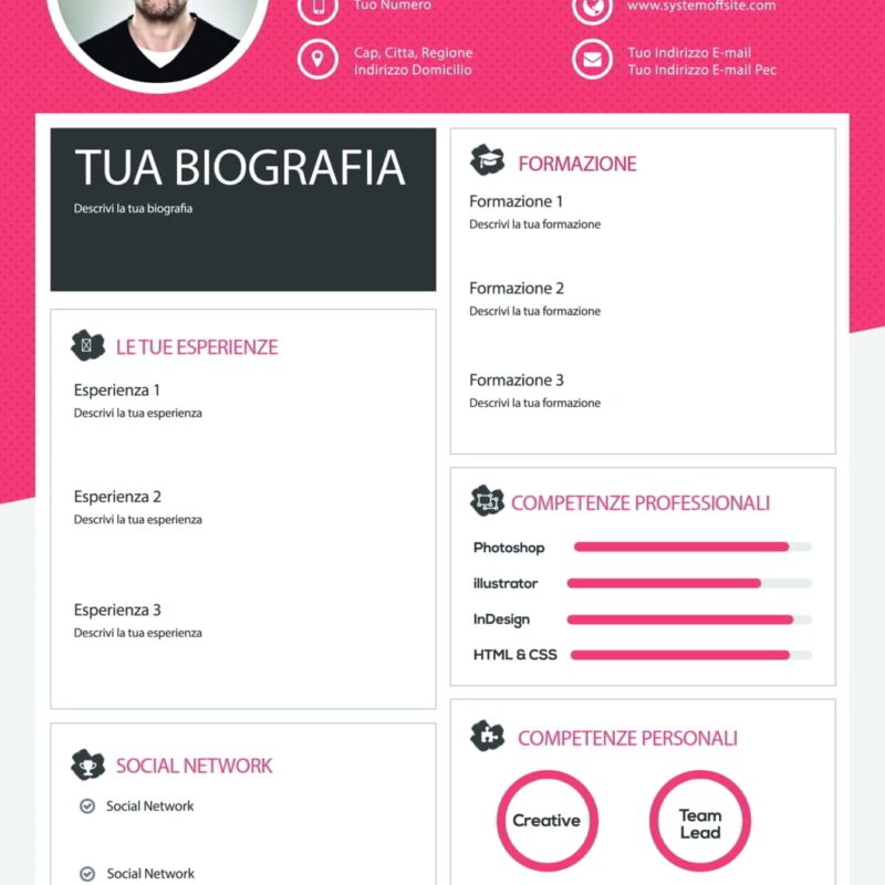 Dynamic Themes CV 1