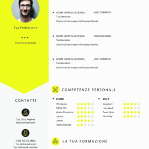 Dynamic Themes CV 2