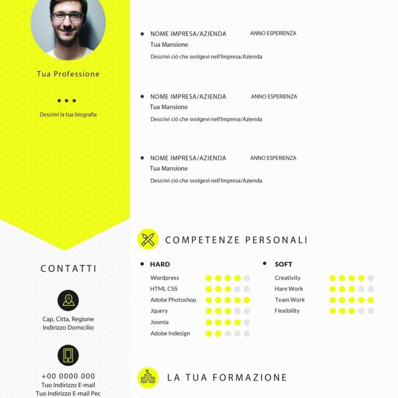 Dynamic Themes CV 2