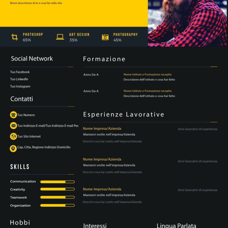 Dynamic Themes CV 4