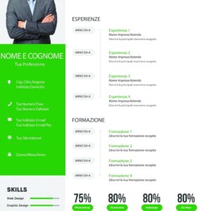 Dynamic Themes CV 6 Verde